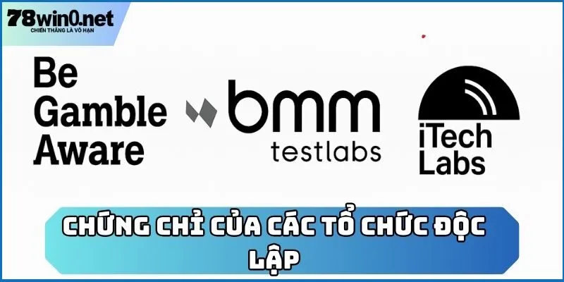 giấy phép hoạt động khác